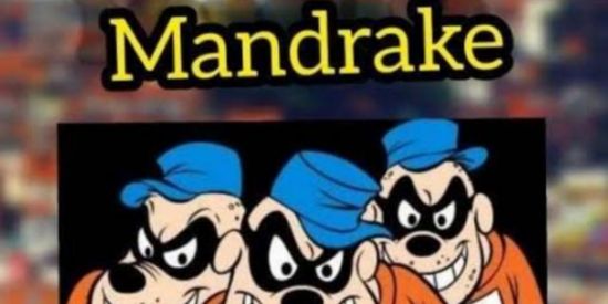 Imagem do grupo de WhatsApp FAMÍLIA MANDRAKE