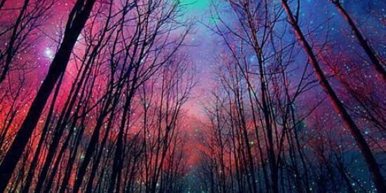 Imagem do grupo de WhatsApp Escola de cientista