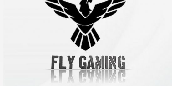 Imagem do grupo de WhatsApp FLY  GAMING
