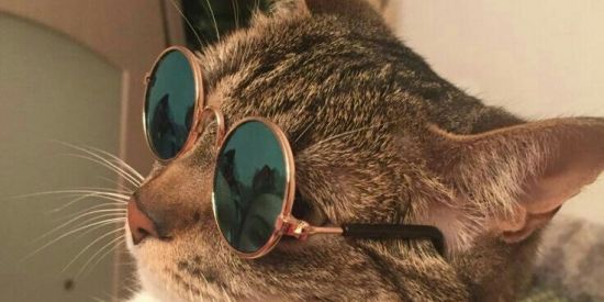 Imagem do grupo de WhatsApp F L U X O