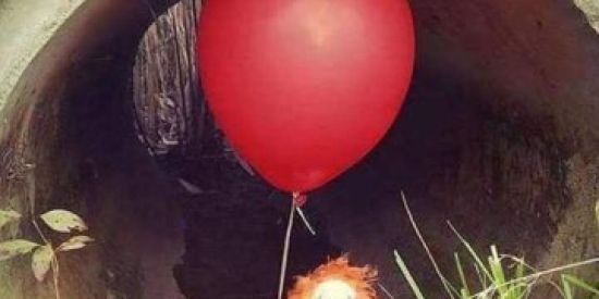 Imagem do grupo de WhatsApp Nada a declarar