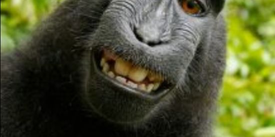 Imagem do grupo de WhatsApp Amizade q nunca se desfas