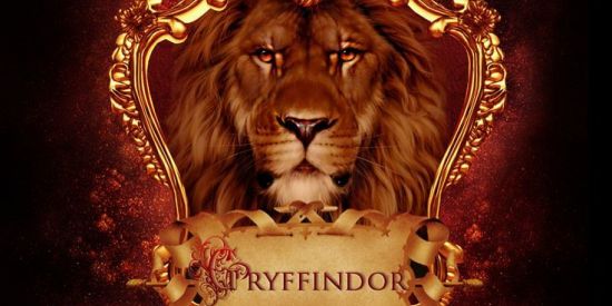 Imagem do grupo de WhatsApp Projeto Grifinoria🦁