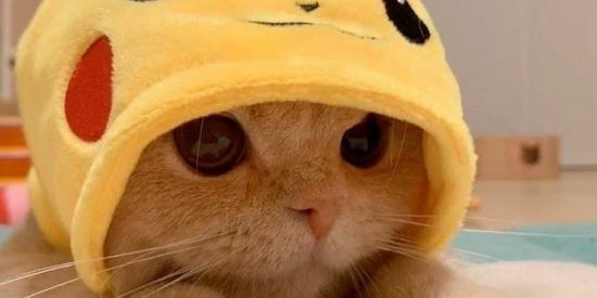 Imagem do grupo de WhatsApp Amizade Novas 2021!💗