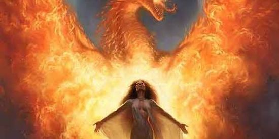 Imagem do grupo de WhatsApp 🔥FÊNIX 2021🔥