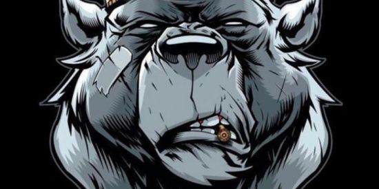 Imagem do grupo de WhatsApp Diário c4