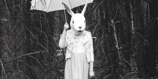 Imagem do grupo de WhatsApp H@spicil