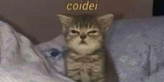 Imagem do grupo de WhatsApp Baka