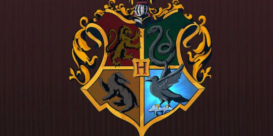 Imagem do grupo de WhatsApp Chapéu Seletor