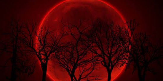 Imagem do grupo de WhatsApp Vila Oculta de Moongakure