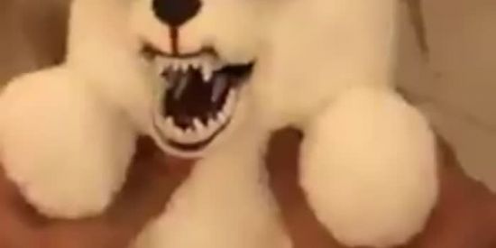 Imagem do grupo de WhatsApp WEB AMZDS