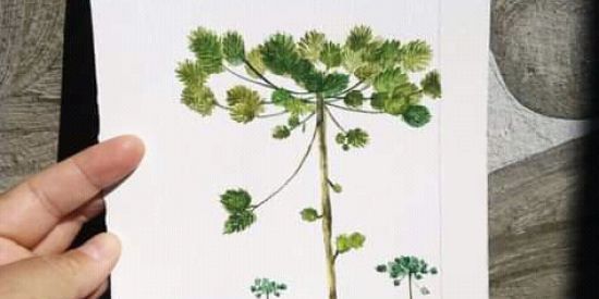 Imagem do grupo de WhatsApp DESENHISTAS AMADORES