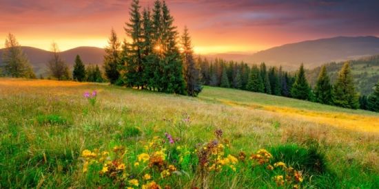 Imagem do grupo de WhatsApp Coração Brasileiro