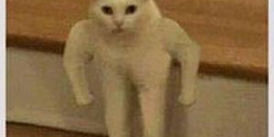 Imagem do grupo de WhatsApp Grupo dos maloka 2.0