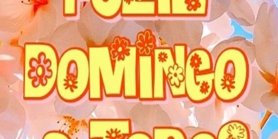 Imagem do grupo de WhatsApp AMIZADE COM AMOR