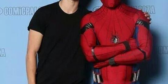 Imagem do grupo de WhatsApp FIGURINHAS DO TOM HOMEM ARANHA