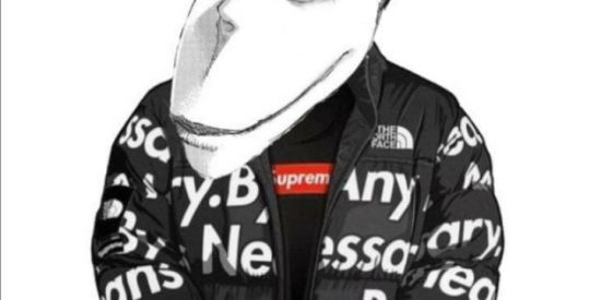 Imagem do grupo de WhatsApp Shit☀︎︎╭∩╮(ಠ_ಠ)╭∩╮۞