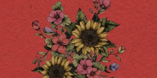 Imagem do grupo de WhatsApp Prazer ansiedade.