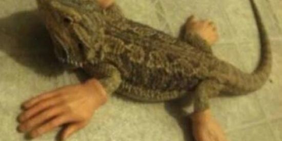 Imagem do grupo de WhatsApp sla só não tr4va meu pocket