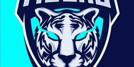 Imagem do grupo de WhatsApp Ganhar seguidores no Instagram