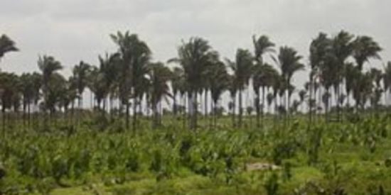 Imagem do grupo de WhatsApp !! SÓ BAIXADEIROS!!😎😎