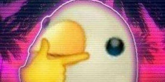 Imagem do grupo de WhatsApp IMPÉRIO DOS POMBOS