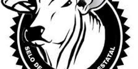 Imagem do grupo de WhatsApp GDG (GRUPO DOS GADOS)