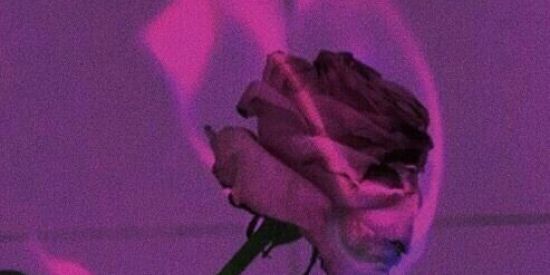 Imagem do grupo de WhatsApp Բiʀɛ Բʆѳwɛʀ