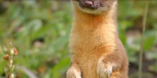 Imagem do grupo de WhatsApp Só amizade mas se rola ne aí e com vc