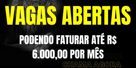 Imagem do grupo de WhatsApp Como fatura 6.000 por mês