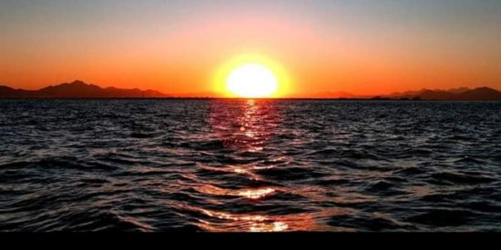 Imagem do grupo de WhatsApp Viver para Deus 🙌