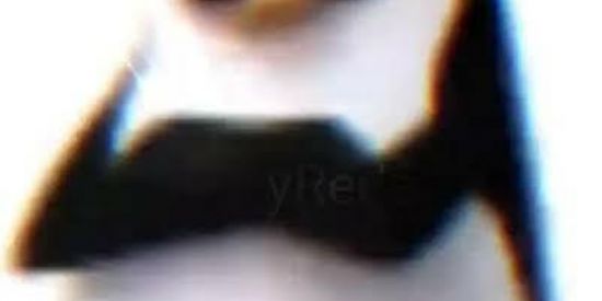 Imagem do grupo de WhatsApp @shitbacana