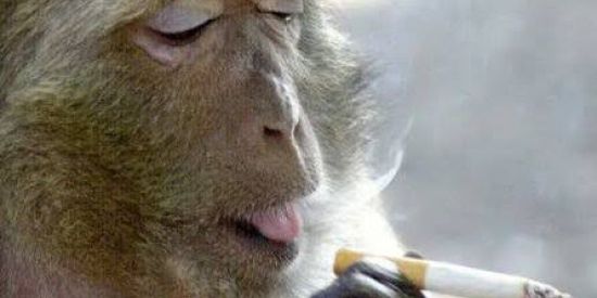 Imagem do grupo de WhatsApp 💯Amizade e zueira sem limite💯