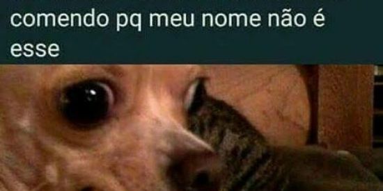 Imagem do grupo de WhatsApp 𝐹𝒾𝑔𝓊𝓇𝒾𝓃𝒽𝒶𝓈