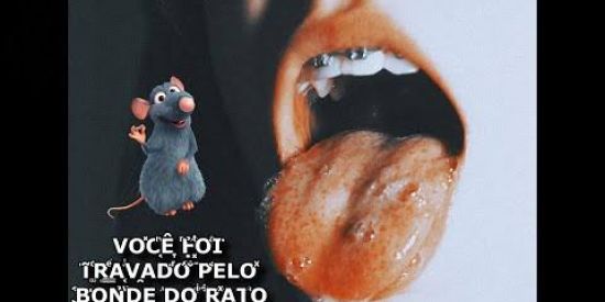 Imagem do grupo de WhatsApp BONDE DO RATO