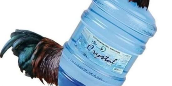 Imagem do grupo de WhatsApp Amizade Br 👽