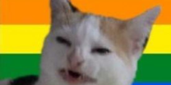 Imagem do grupo de WhatsApp Namoro adolescente