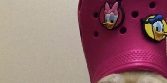 Imagem do grupo de WhatsApp Girl☺