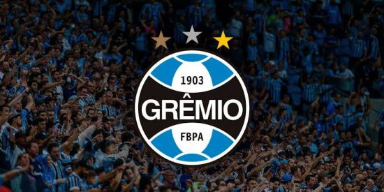 Imagem do grupo de WhatsApp G R Ê M I O 💙🖤🤍