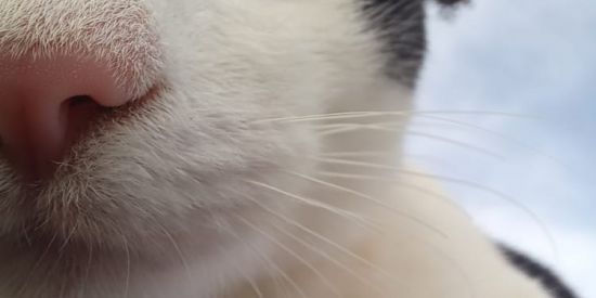 Imagem do grupo de WhatsApp ӾɆⱤɆ₵₳ⱤĐ ♧💔