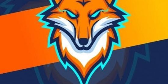 Imagem do grupo de WhatsApp GUILDA DE FREE FIRE   THE   SPORT  RECRUTANDO