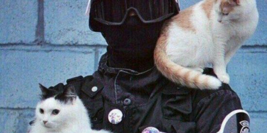 Imagem do grupo de WhatsApp Grupo de Figurinhas