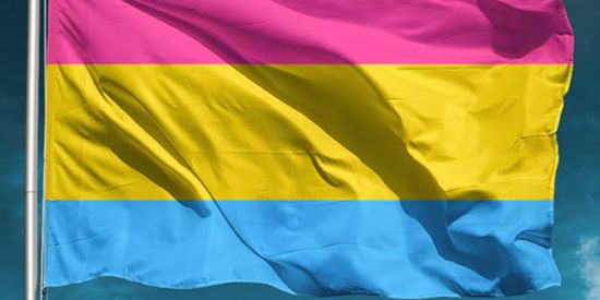 Imagem do grupo de WhatsApp Namoro Pansexual (DDD11)