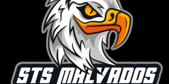 Imagem do grupo de WhatsApp RECRUTAMENTO STS MALVADOS