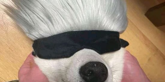 Imagem do grupo de WhatsApp 𝑠ℎ𝑖𝑡 𝑜𝑡𝑎𝑘𝑢 ばか