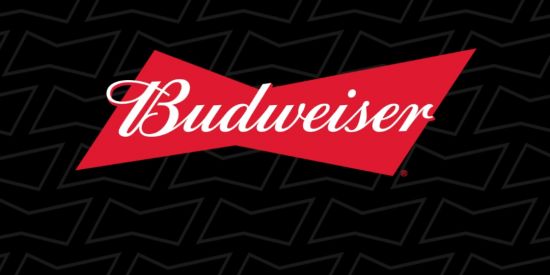 Imagem do grupo de WhatsApp Budweiser Amizades