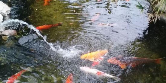 Imagem do grupo de WhatsApp Ateu x religião amigável