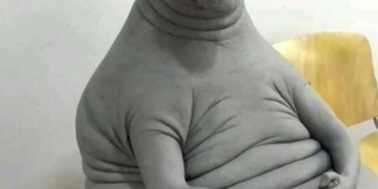 Imagem do grupo de WhatsApp Oʅιɱρσ