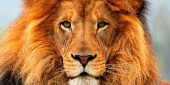 Imagem do grupo de WhatsApp GKS MEMBROS