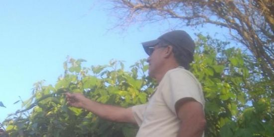 Imagem do grupo de WhatsApp WATSAPP JUNTOS MISTURADO